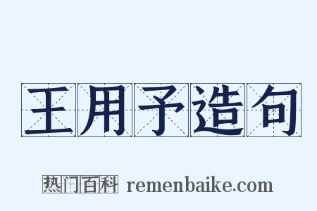 王用予造句是什么意思的图片